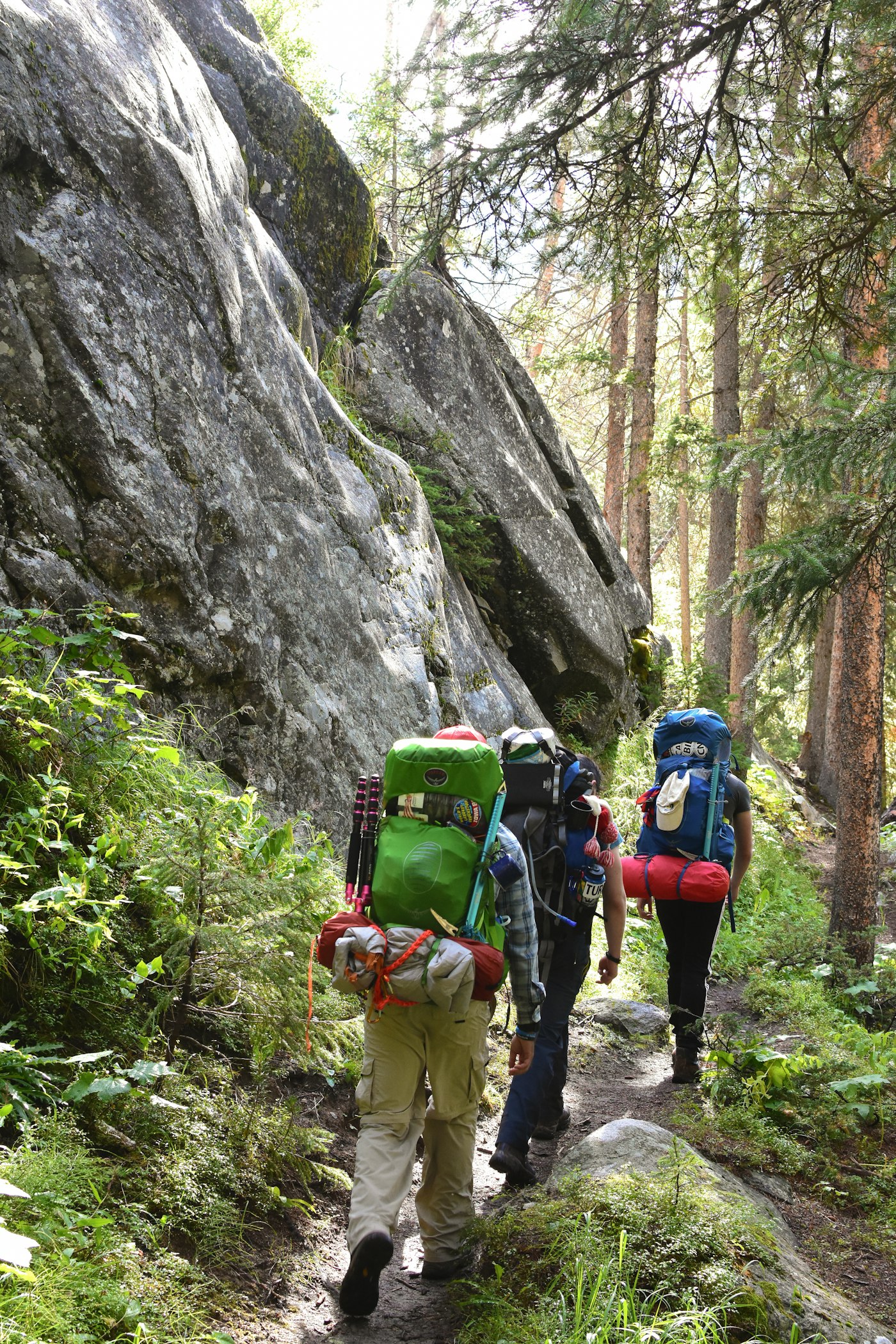 Backpackers hiking together on a wooded trail